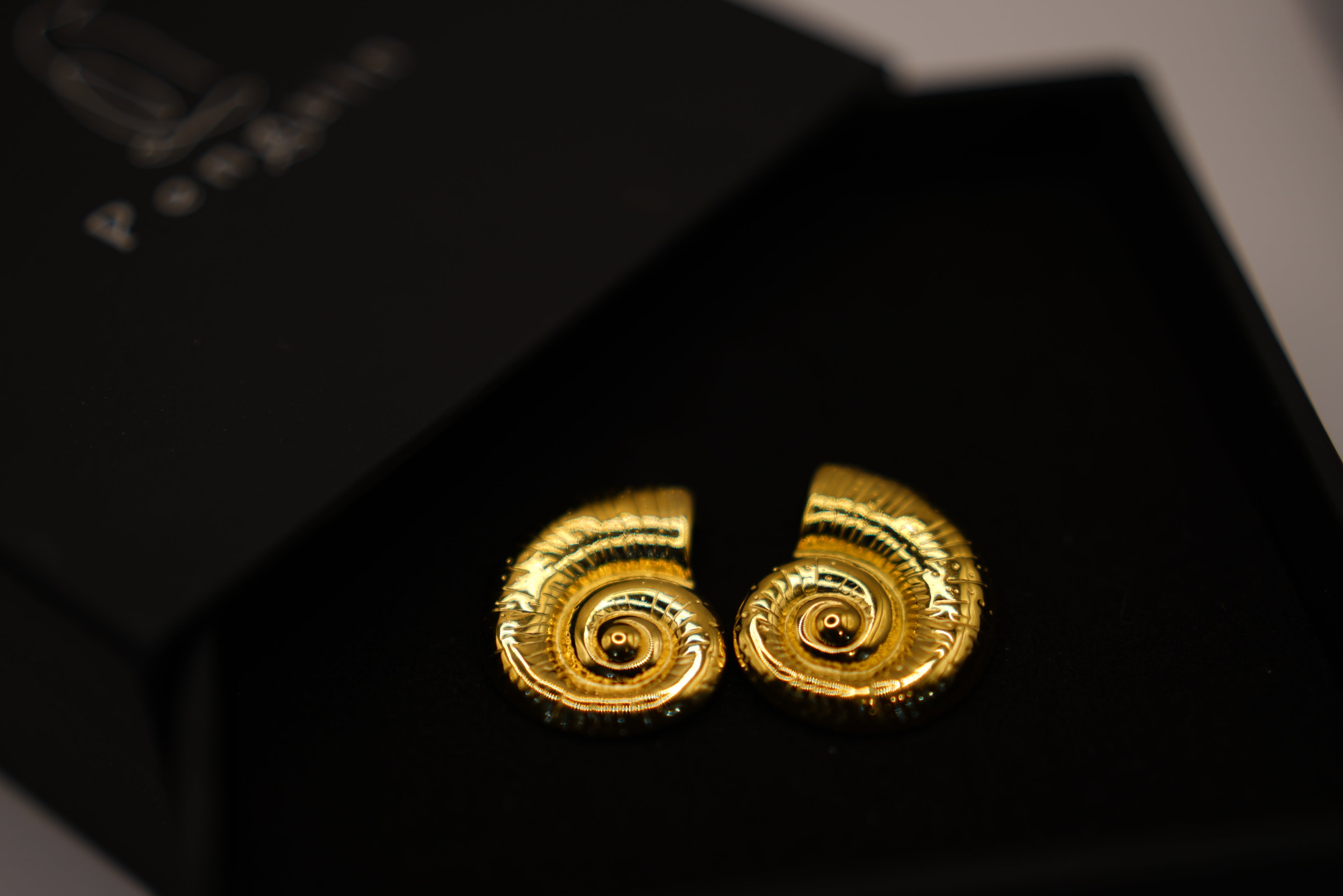 Snail Blush Earings
