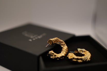 Desert Gleam Earings