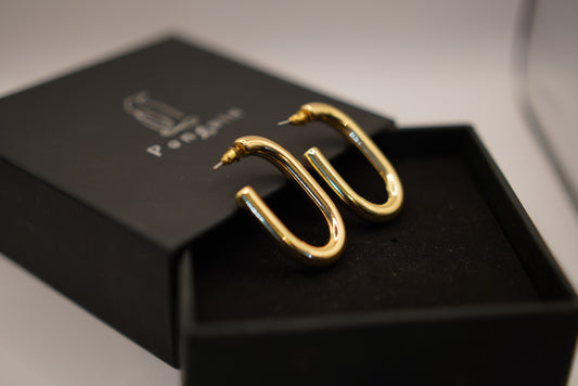 Sleek Echo Earings