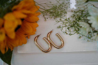 Sleek Echo Earings