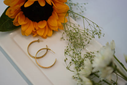 Amber Dust Earings