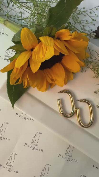 Sleek Echo Earings